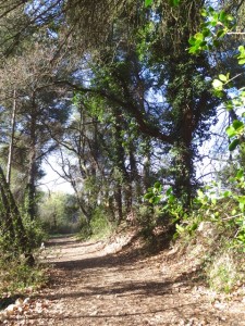 on fait partie de la nature