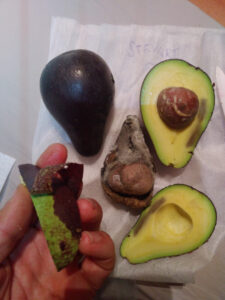 avocat avocatier stewart stuart